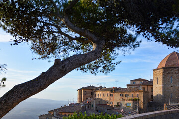 Altstadt von Volterra Toskana hinter einer Pinie