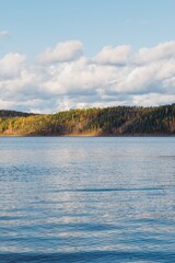 autumn forest landscape with river in highlands