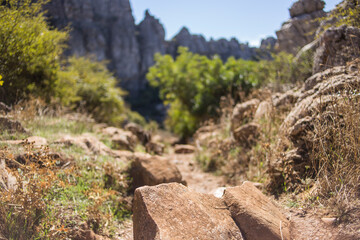 Torcal de Antequera, provincia de Malaga, comunidad autonoma de Andalucia o Andalusia, pais de España o Spain