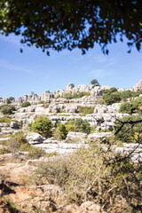 Torcal de Antequera, provincia de Malaga, comunidad autonoma de Andalucia o Andalusia, pais de España o Spain