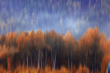 blurred background autumn nature landscape, abstract blur bokeh view of fall trees