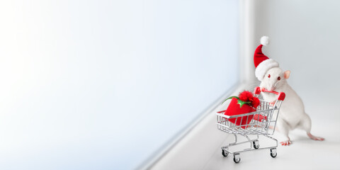 Little rat in a Santa hat holds a shopping cart with a Christmas present.