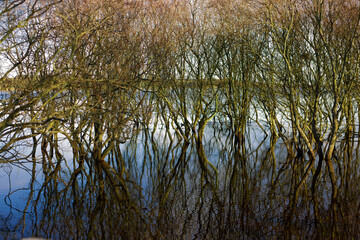 Obraz premium Derwent reservoir, winter landscape.