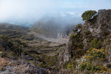 Volcan Baru National Park, the highest point in Panama ( 3475m), Chiriqui highlands, Panama, Central America