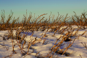 North Pennines winter landscapes