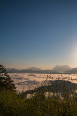 Naklejka premium The fog and the first light of the day