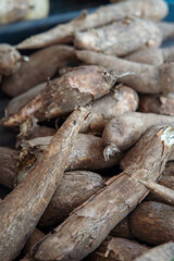 Cassava, also called manioc, yuca, balinghoy, mogo, mandioca, kamoteng kahoy, tapioca and manioc root, a woody shrub of the Euphorbiaceae family native to South America.