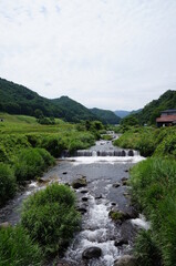 Fototapeta na wymiar 日本の山河