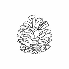 Drawing, engraving, ink, line art, linear, vector illustration pine cone icon sketch in silhouette on a white background.
