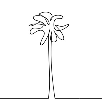 Abstract palm tree as line drawing on the white background
