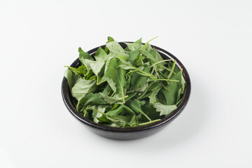 취나물,봄나물,건강,고해상,다수,두릅,사람없,음식물,신선,오브젝트,웰빙,조각보,채반,초록색,컨셉,하이앵글,화이트