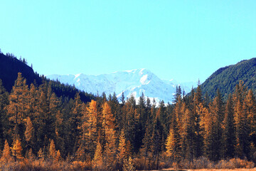 Altai mountain landscape, panorama autumn landscape background, fall nature view