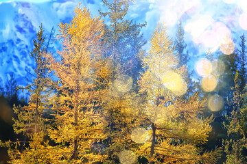 abstract landscape background autumn sun glare defocus bokeh, view sun background