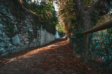 Beautiful path in the park in autumn. Yellow leaves on the trees.