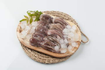 주꾸미,해산물,날것,스튜디,오실내,요리,음식재료