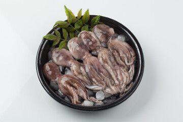 주꾸미,해산물,날것,스튜디,오실내,요리,음식재료