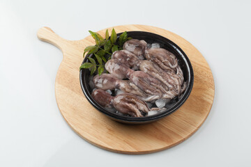 주꾸미,해산물,날것,스튜디,오실내,요리,음식재료