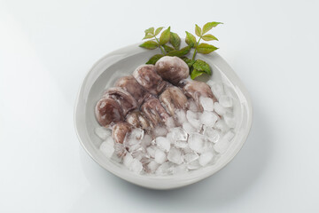 주꾸미,해산물,날것,스튜디,오실내,요리,음식재료