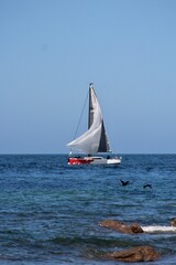 Obraz premium Voilier à l'horizon