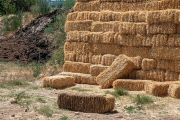 Straw bales in piles