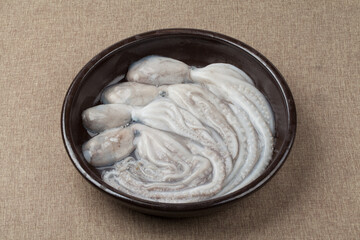 낙지,해산물,날것,스튜디,오실내,요리,음식재료