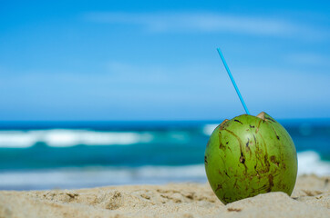 Foto de um coco na praia de frente pro mar.