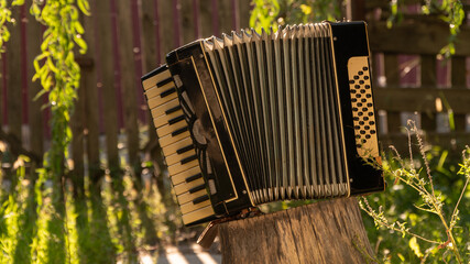 accordion on a wooden stump. musical instrument in nature