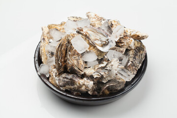 굴,누끼,사람없음,스튜디오,재료,조개,해산물,해산물,날것,스튜디,오실내,요리,음식재료