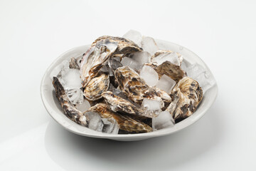 굴,누끼,사람없음,스튜디오,재료,조개,해산물,해산물,날것,스튜디,오실내,요리,음식재료
