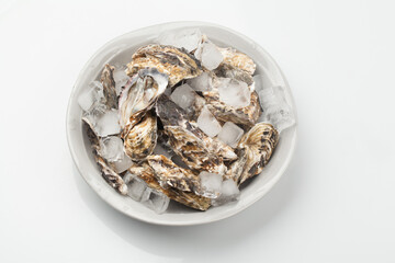 굴,누끼,사람없음,스튜디오,재료,조개,해산물,해산물,날것,스튜디,오실내,요리,음식재료