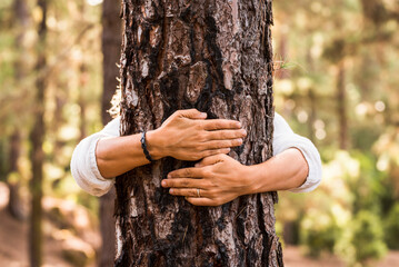 Close up of hands of woman hugging tree trunk in forest. Woman embracing tree with love and care....