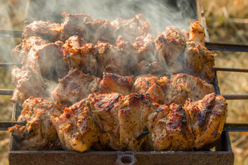 barbecue is prepared on the grill