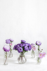 Glass vases with fresh chrysanthemum flowers on a blurred white background.