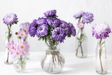 Glass vases with fresh chrysanthemum flowers on a blurred white background.