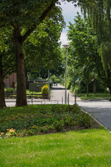 View of park in sunny summer with plant and tree foliage and empty street and pavement in quiet and small town of Itzehoe in Germany. 
