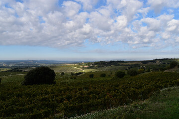 landscape with clouds