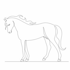 horse drawing by one continuous line