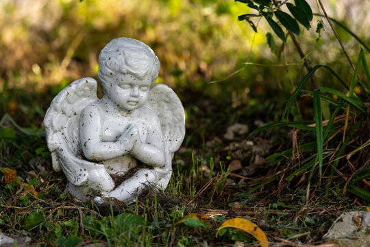 White cherub angel sitting in garden praying