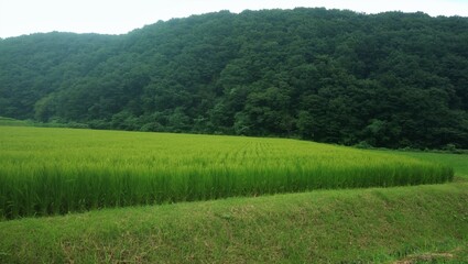 Beautiful Japanese landscape in rural areas of Japan