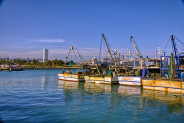 Fishing boats in the harbor