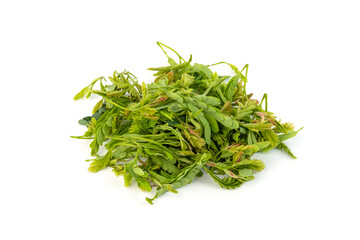 Heap of Young tamarind leaves for cooking on white background