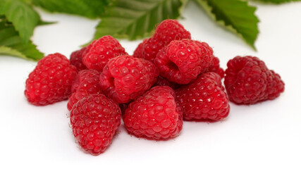 Raspberries. Studio image of fresh harvest of seasonal raspberry berries against white background with soft shadows