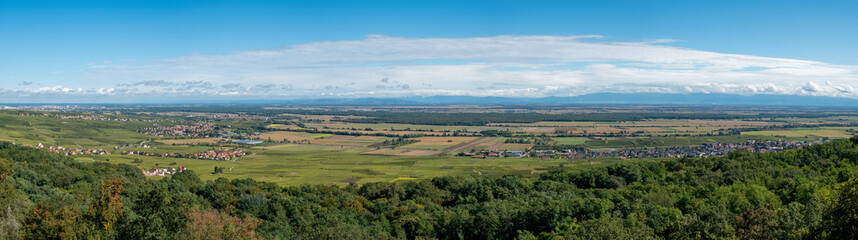 panoramic view from Pfaffenheim to valley of Ruffach and view to Kaiserstuhl and black forest in Germany