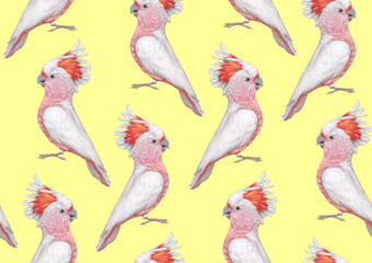 Seamless Pattern with hand-drawn Cockatoos, digitally colored