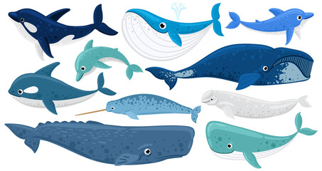 Cartoon underwater mammals, dolphin, beluga whale, orca, sperm whale. Marine animals, humpback whale, narwhal, killer whale vector illustration set. Underwater fauna whales © WinWin