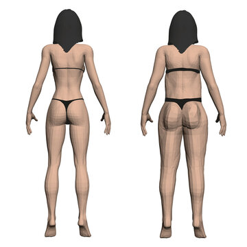Two model girls in underwear, a slim and fat girl. The process of obesity of the girl body. Back view. 3D. Vector illustration