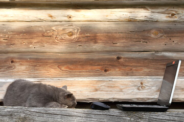 Fototapety na wymiar - Fototapeta24.pl