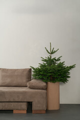 Small christmas tree indoor near couch
