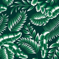 Naklejka na ściany i meble tropical bananas palm leaves seamless pattern plant with isolated color monochromatic style. Decorative background vector design. Exotic jungle plants illustration pattern. summer