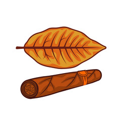 tobacco leaf and cigar illustration